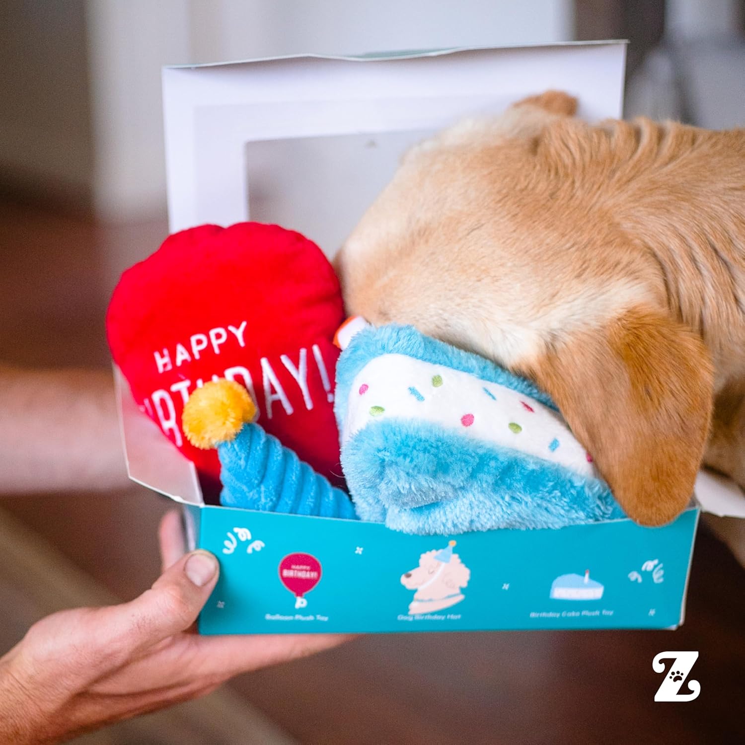 ZippyPaws Caja de cumpleaños \u2013 Juguetes chirriantes para mante...
