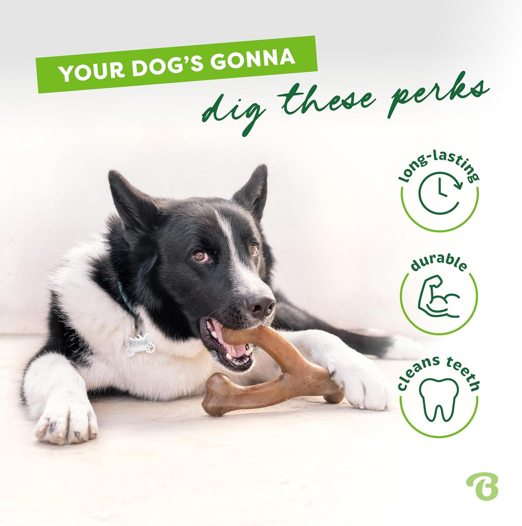 Benebone Wishbone - Juguete masticable duradero para perros mastica...