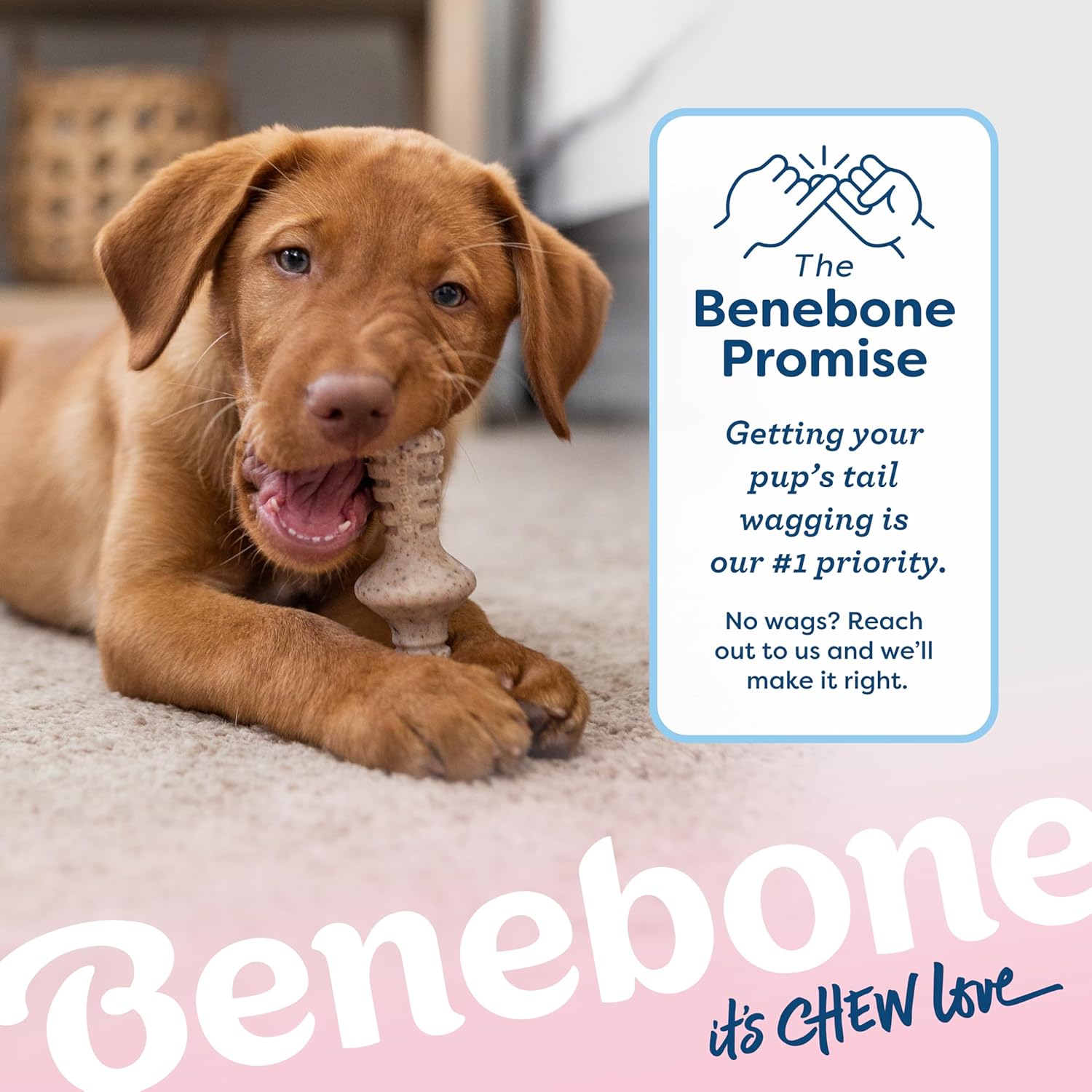 Benebone Puppy - Paquete de 2 juguetes masticables duraderos para p...