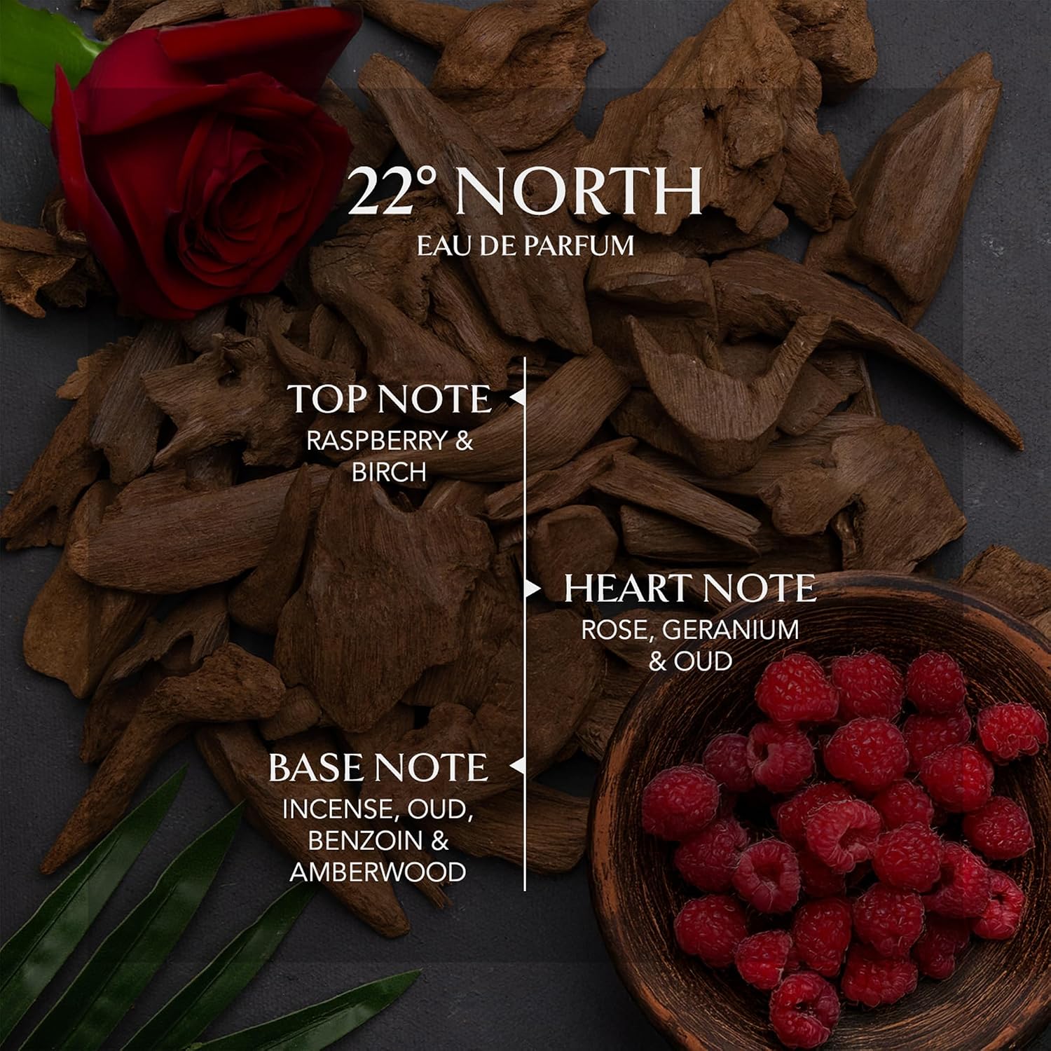 EMBAROUGE 22° North Eau De Parfum | Perfume de lujo de larga duraci...
