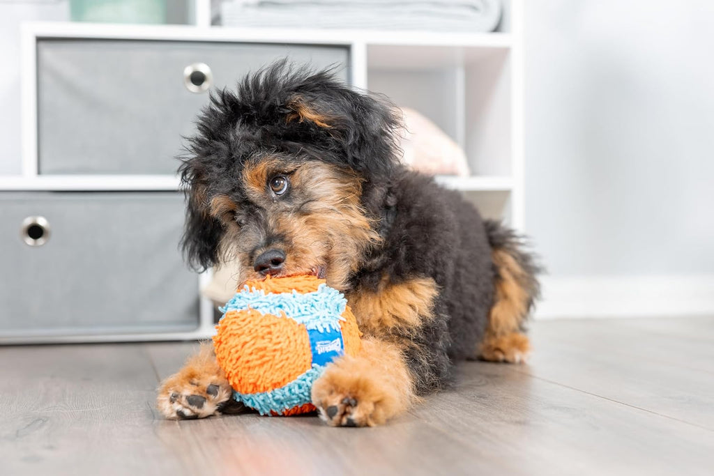 Pelota para interior, Variados