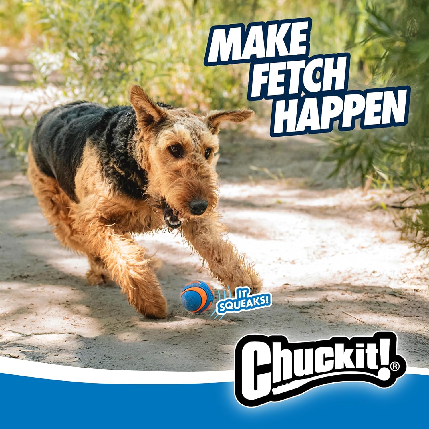 CHUCKIT Pelota ultra chirriadora para perros pequeños, pequeña