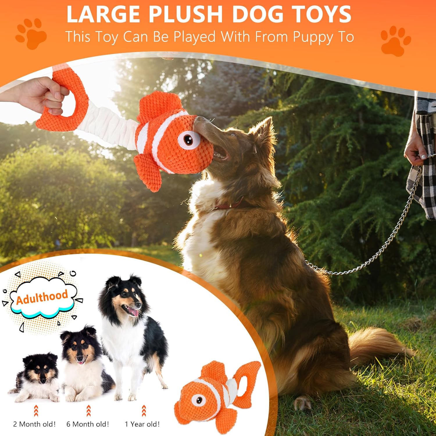Molantaule Juguetes Chirriantes para Perros, Juguetes Interactivos...