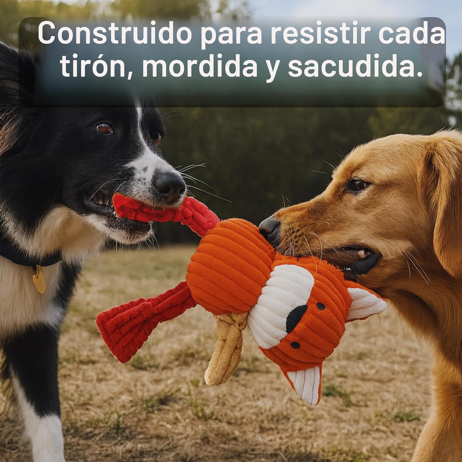 Jalousie Paquete surtido de juguetes de peluche para cachorros y ma...