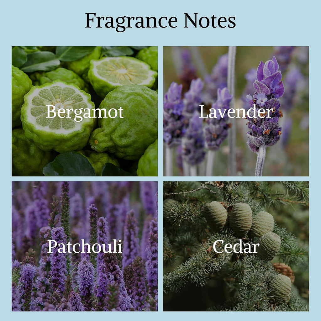 UNTAMED para hombres inspirado en Sauvage, colonia fresca, aromátic...