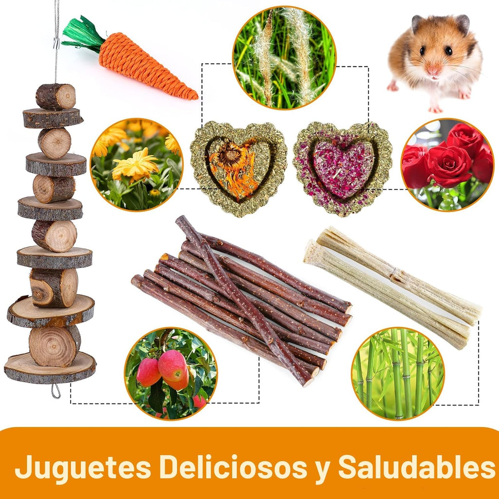 VESPRO Conjunto de juguetes de hámster, juguetes de conejillo de in...