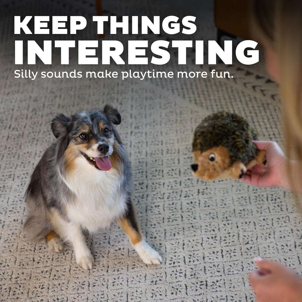 Outward Hound, juguete de peluche Hedgehogz para perro, tamaño mediano
