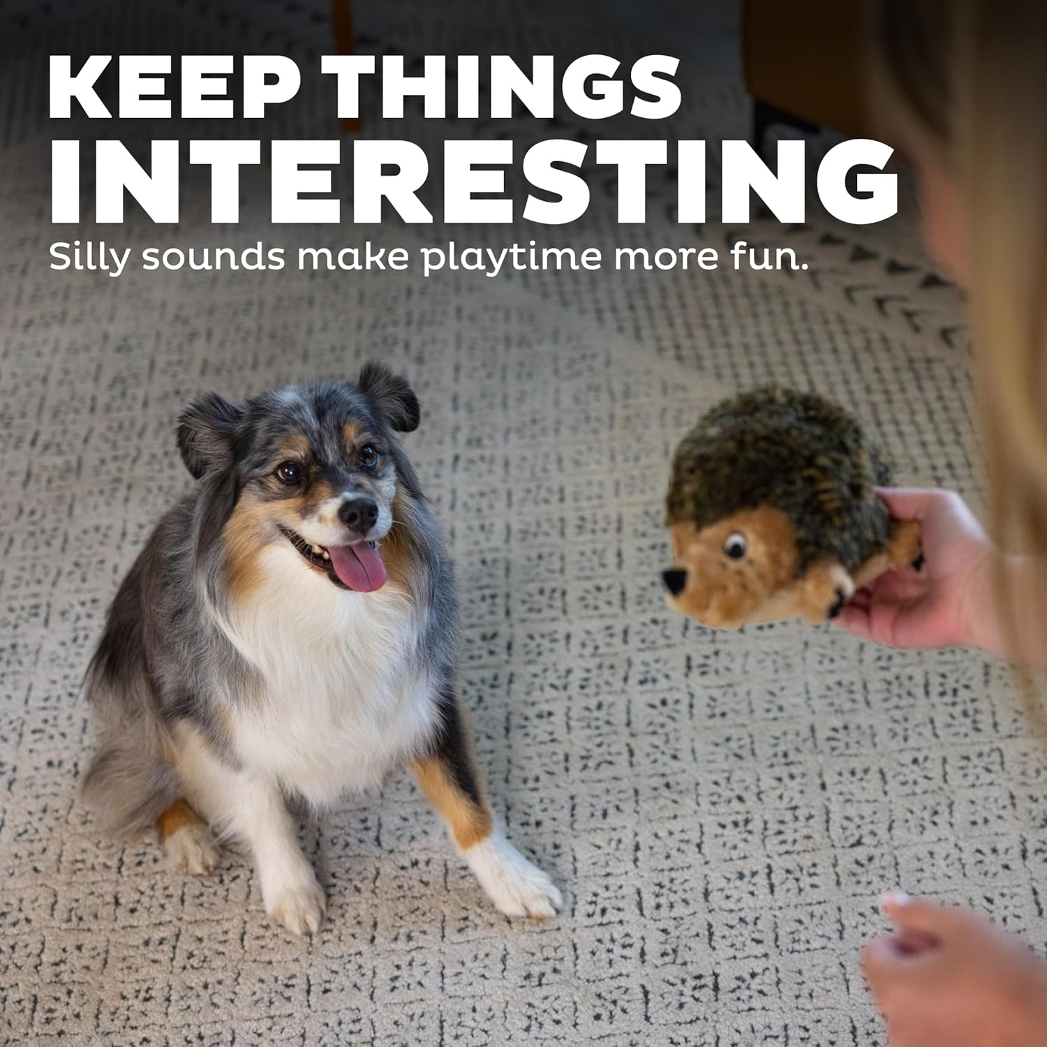 Outward Hound, juguete de peluche Hedgehogz para perro, tamaño mediano