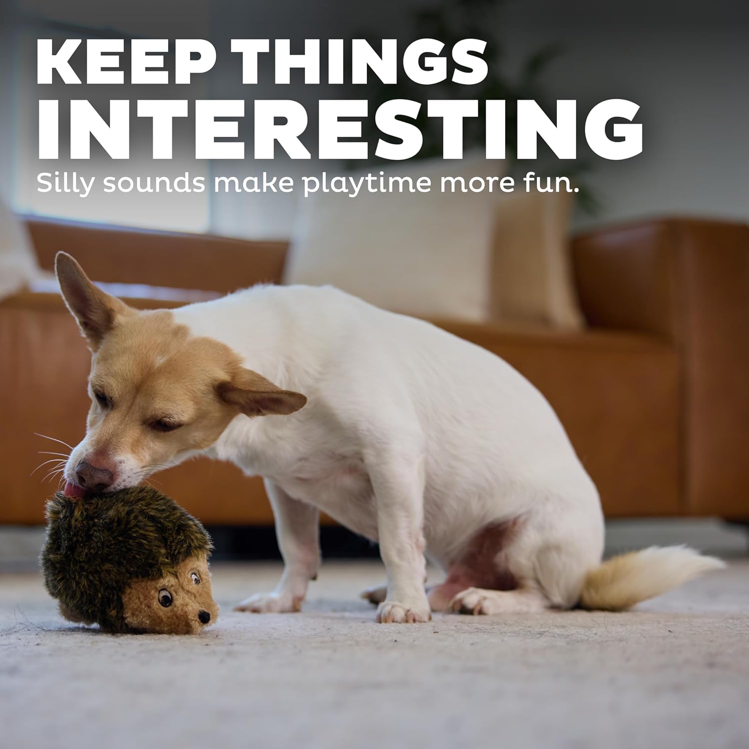 Outward Hound - Juguete de peluche Hedgehogz para perro, tamaño S