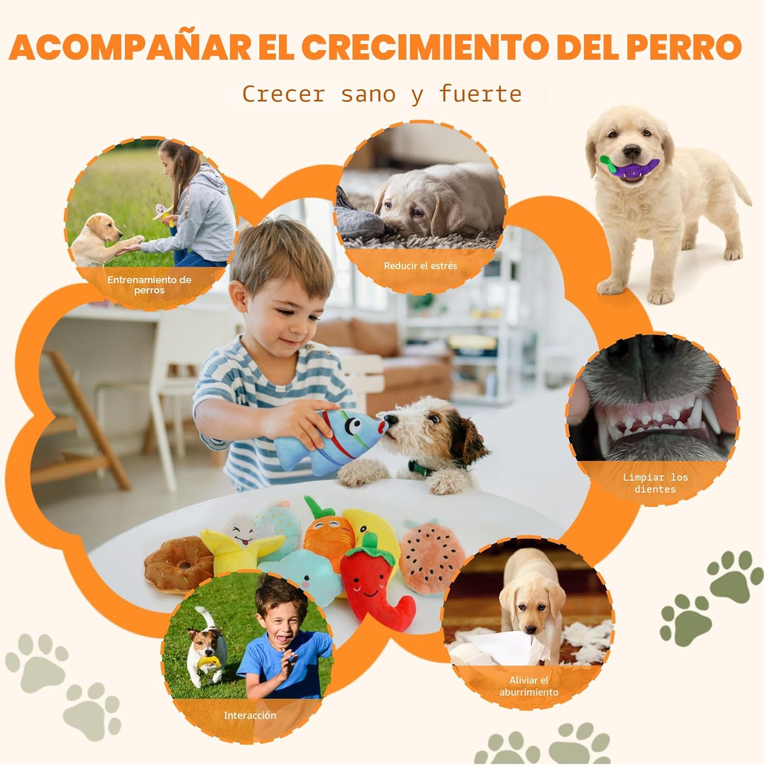 QTwoof Conjunto Alegre de 20 Juguetes Chirriantes para Perros - Inc...