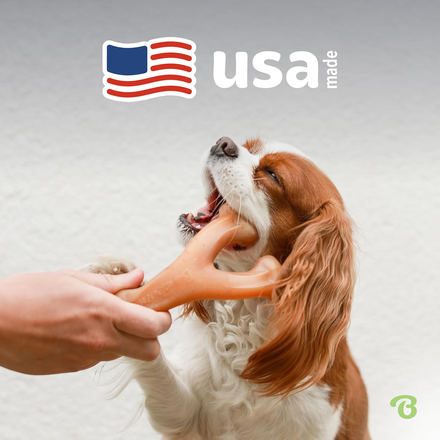Benebone Wishbone - Juguete masticable duradero para perros mastica...