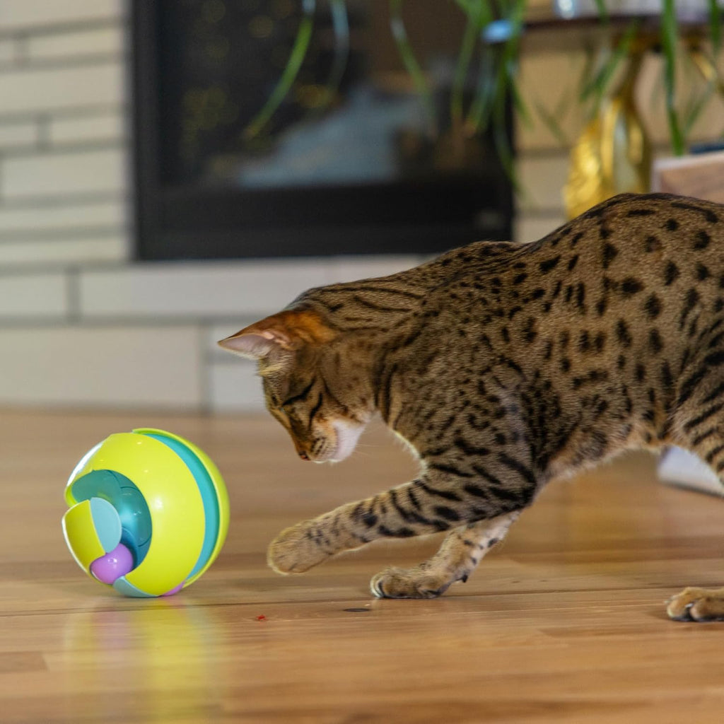 Catstages Twist-A-Ball 3-en-1 Juguetes Convertibles de Pista para G...