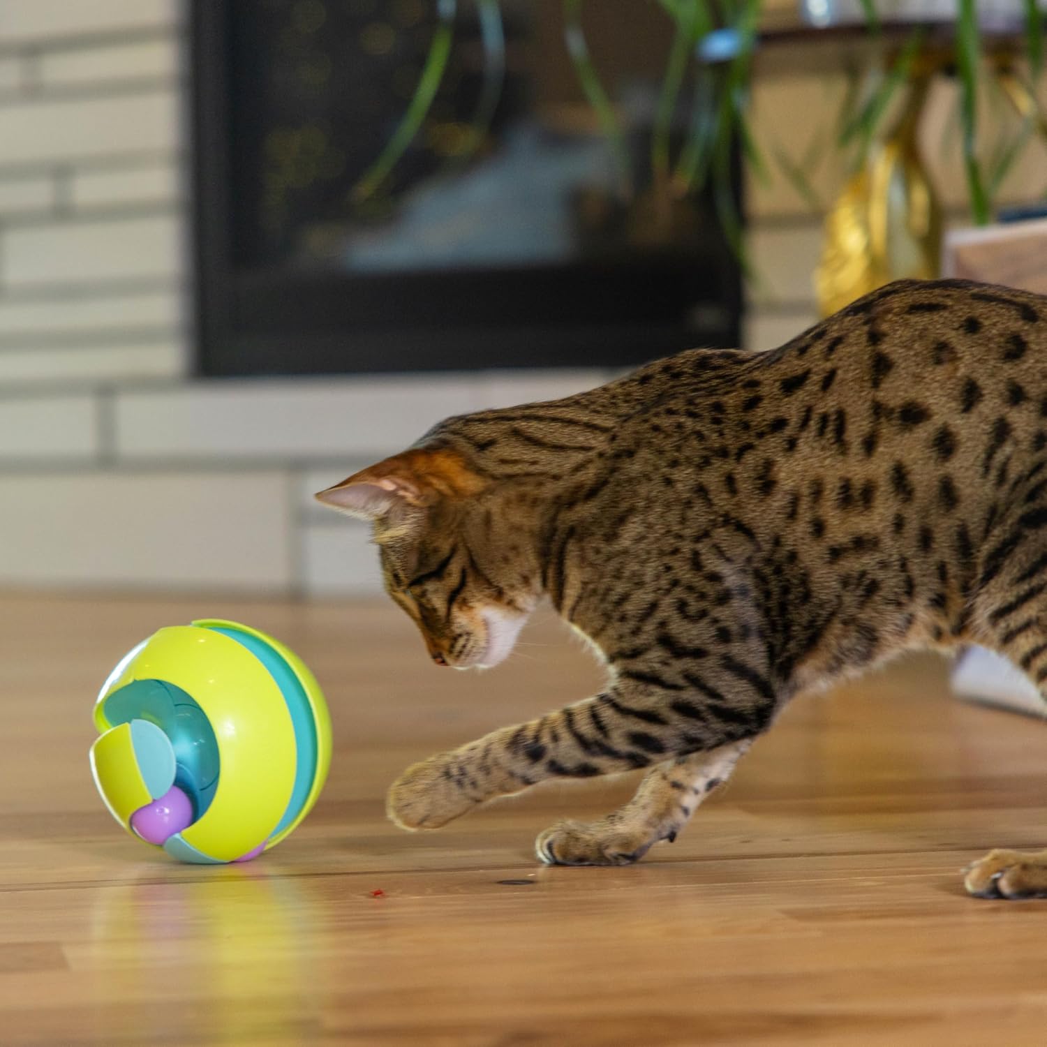Catstages Twist-A-Ball 3-en-1 Juguetes Convertibles de Pista para G...
