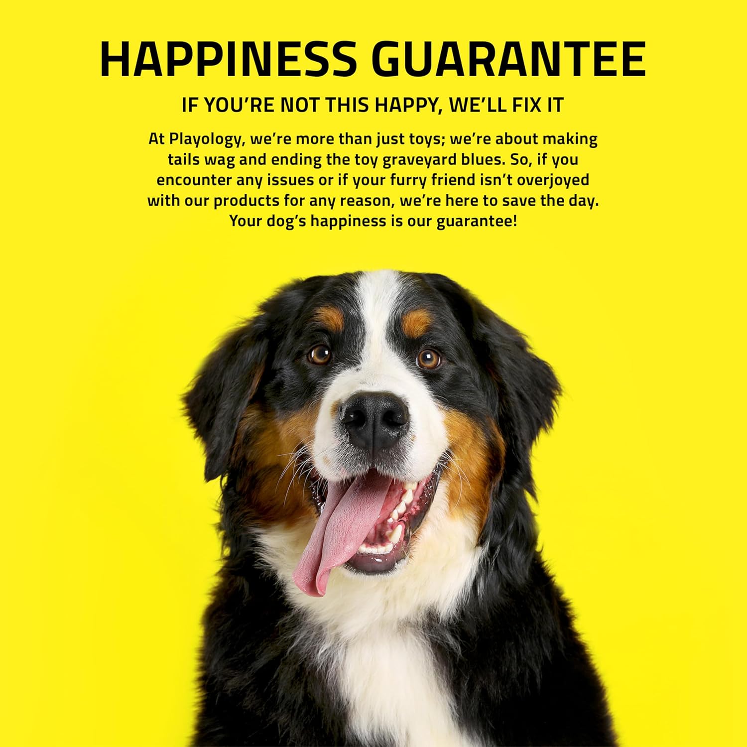 Playology Juguetes para perros | Bola masticable chirriante \u2013...