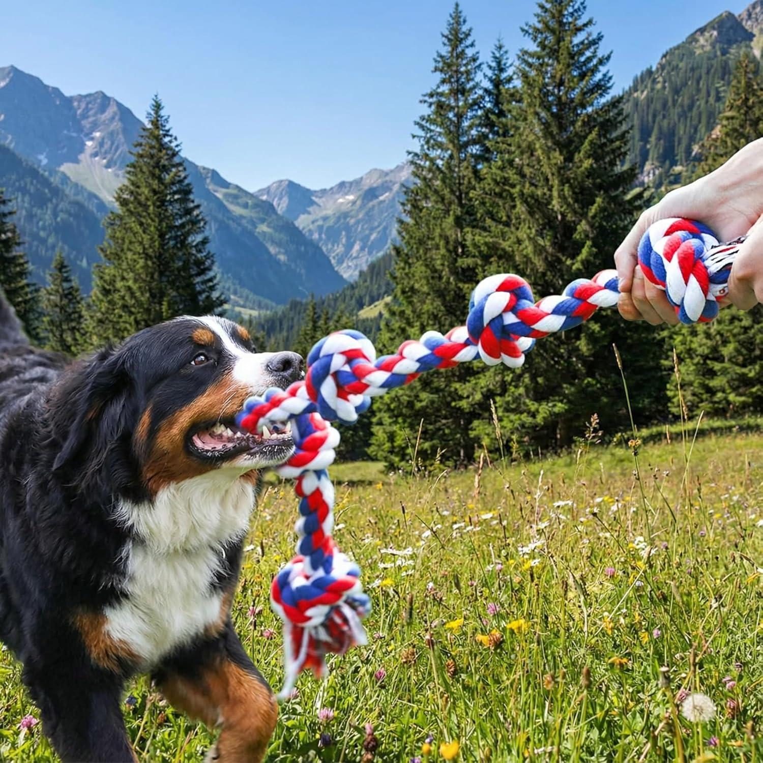Paw-FECT Piece - Juguete de cuerda para perro de alta resistencia X...