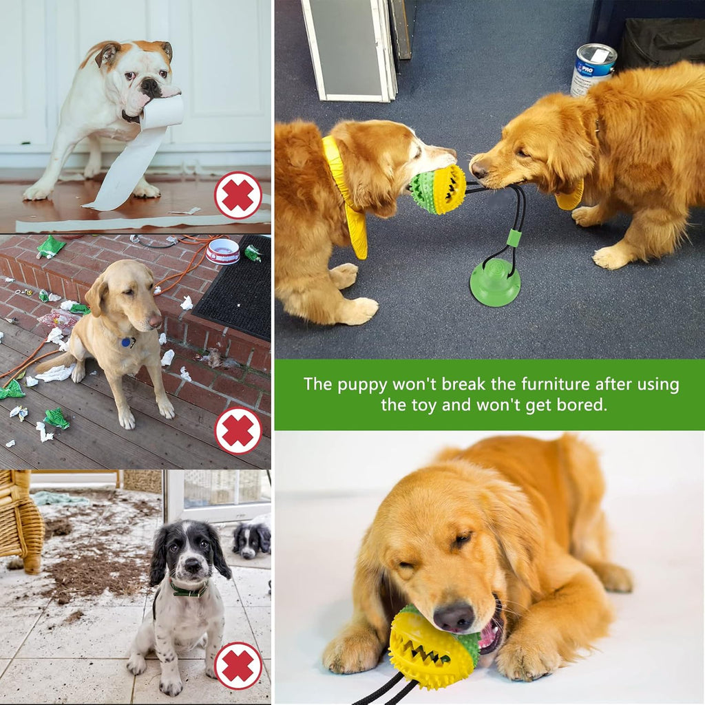 Askhald Juguetes para Perros, Juguetes Masticables para Perros con...