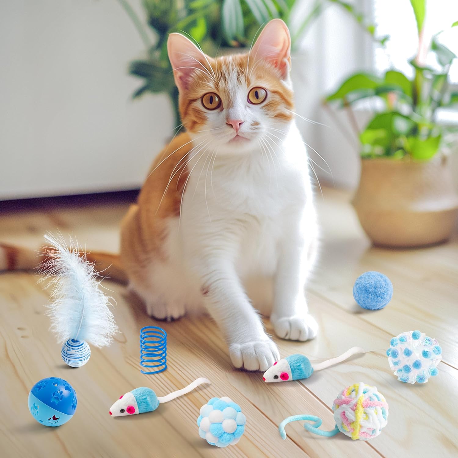 MALLMALL6 Juego de 10 juguetes para gatos que incluye resortes para...