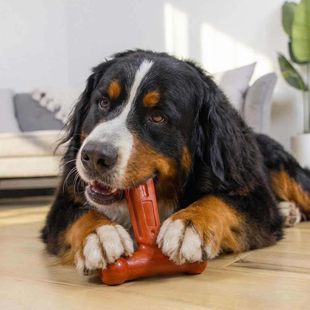 Outward Hound Dogwood Hold &amp; Chew - Juguete masticable duradero...