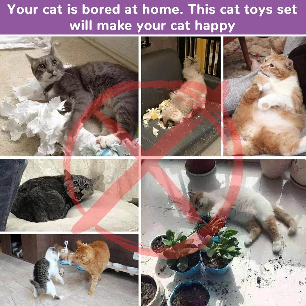 Retro Shaw Paquete de juguetes para gatos, 25 unidades, juguetes in...