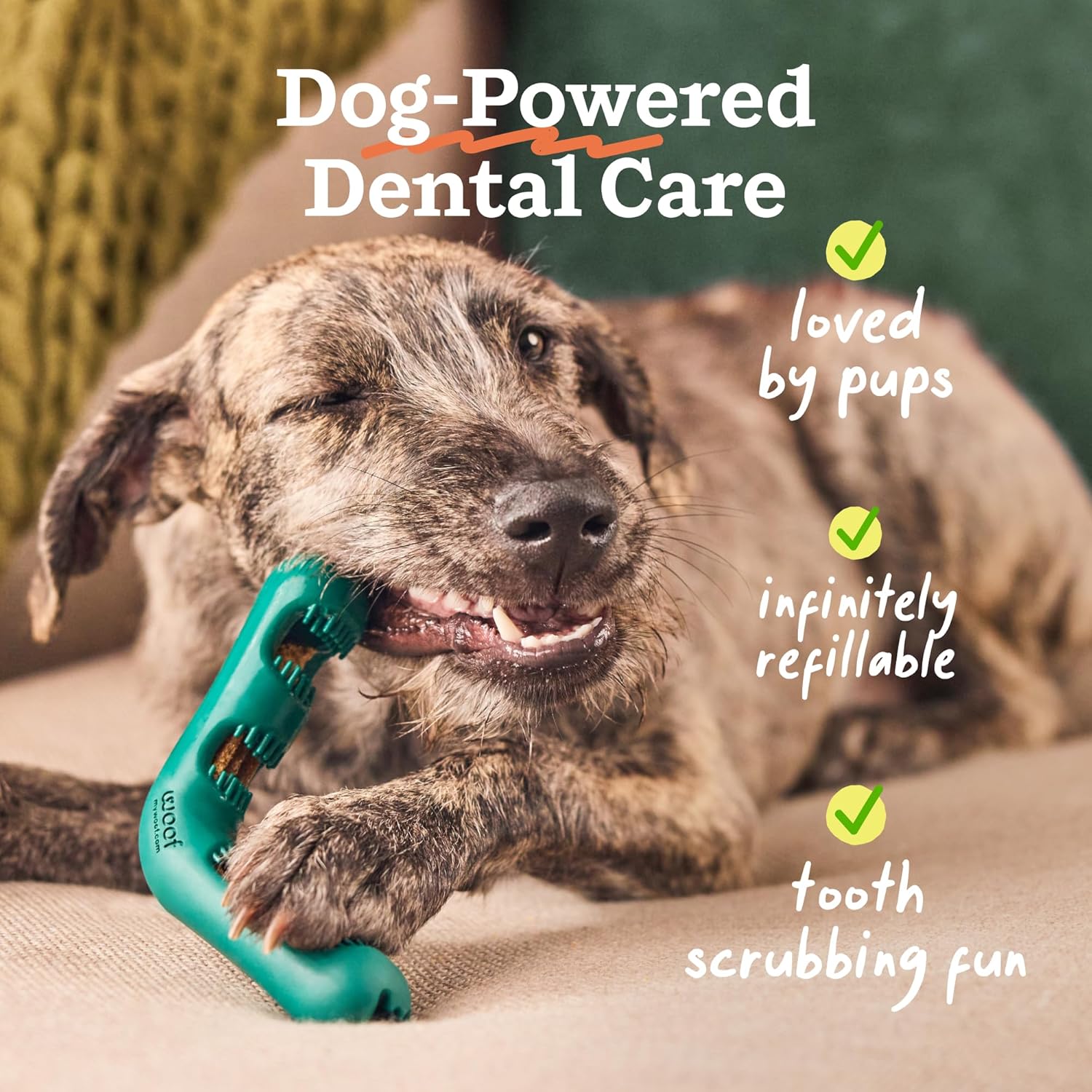 WOOF The Bite n' Brush - Cepillo de dientes para perros - Placa...