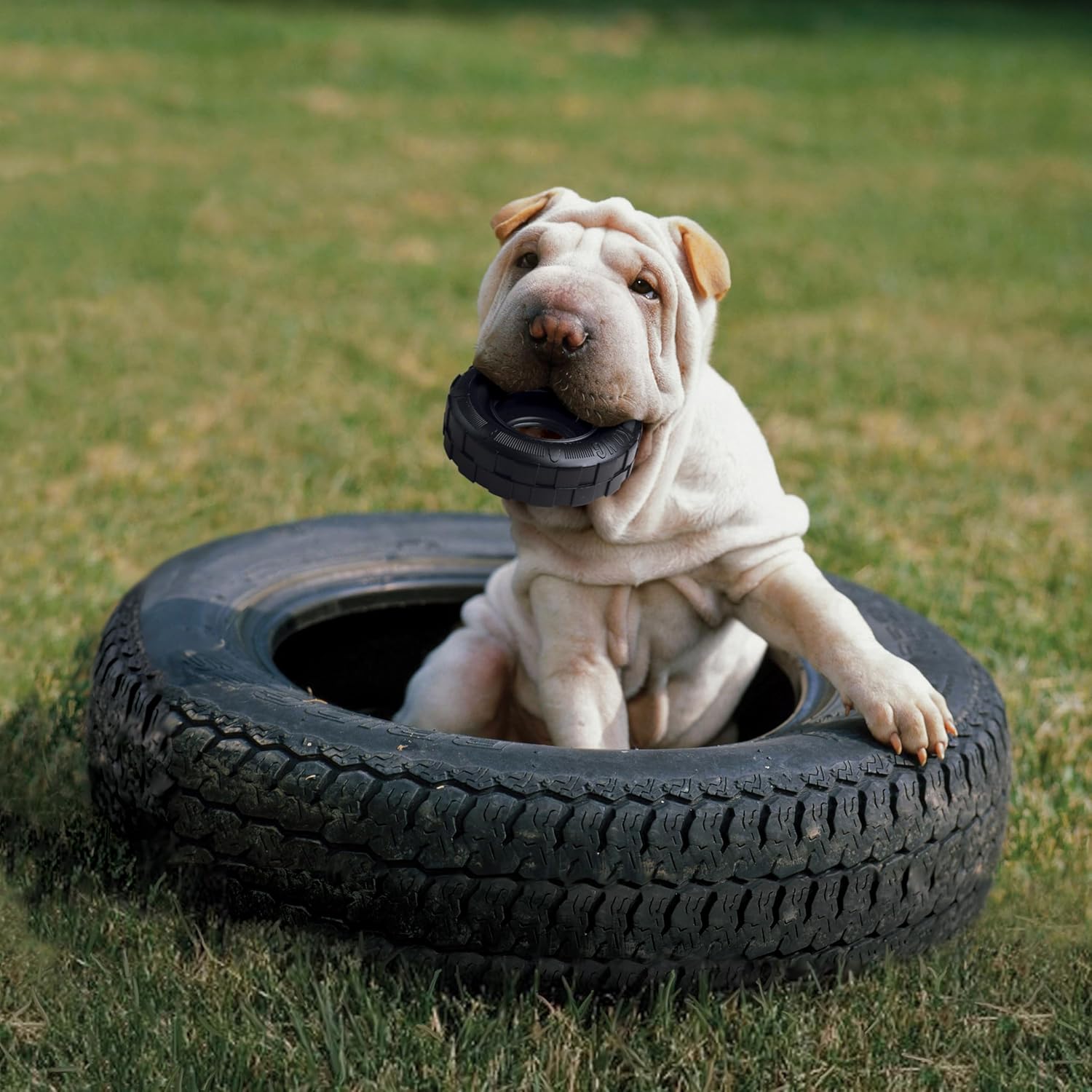 Juguete para perros en forma de neumático, de KONG, S, Negro