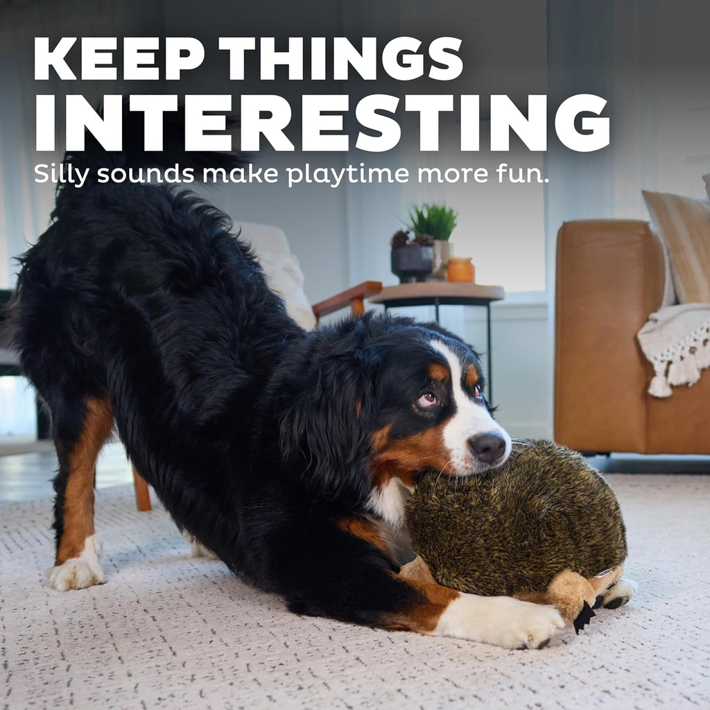Outward Hound, juguete de peluche Hedgehogz para perro, XL