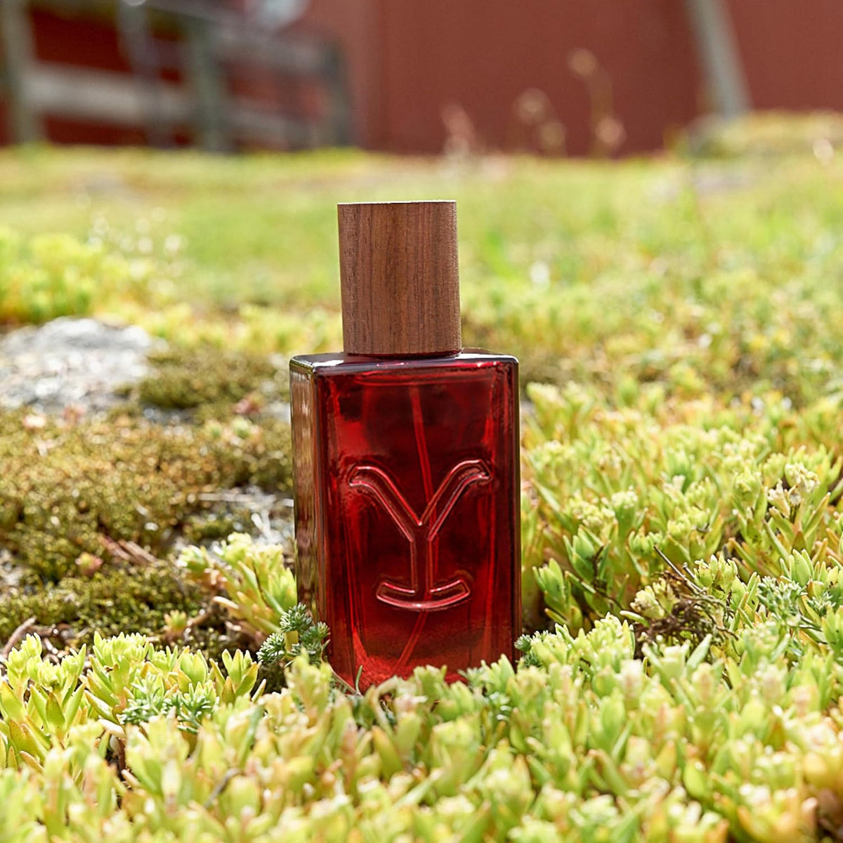 Yellowstone Tornado Perfume para mujer de Tru Western, 1.7 fl oz (5...