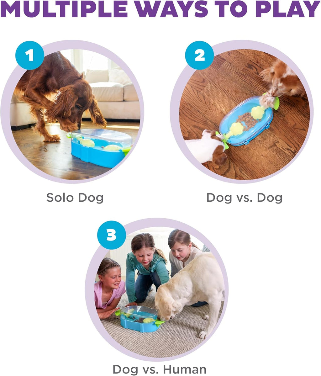 Outward Hound Nina Ottosson Paw N' Play Rompecabezas Interactiv...