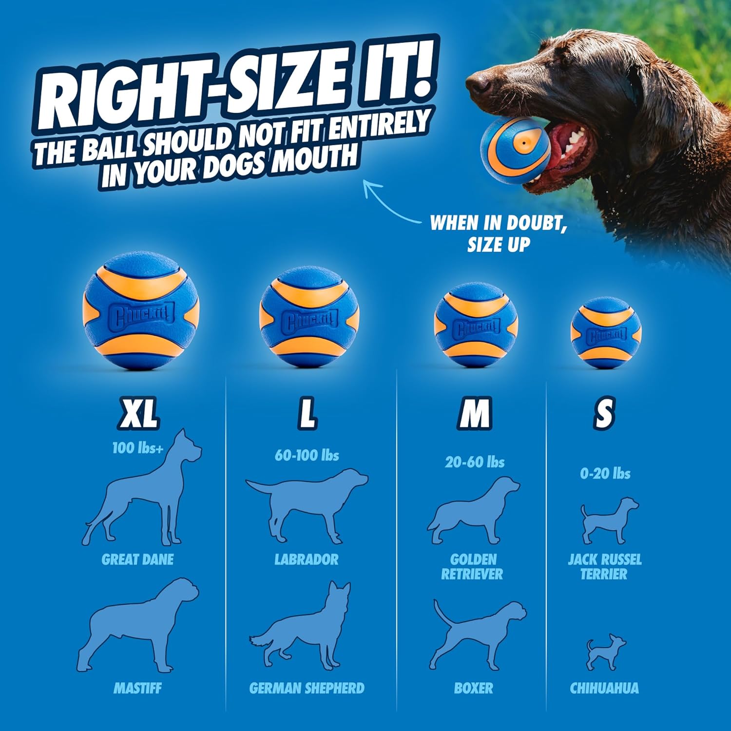 CHUCKIT Pelota ultra chirriadora para perros pequeños, pequeña