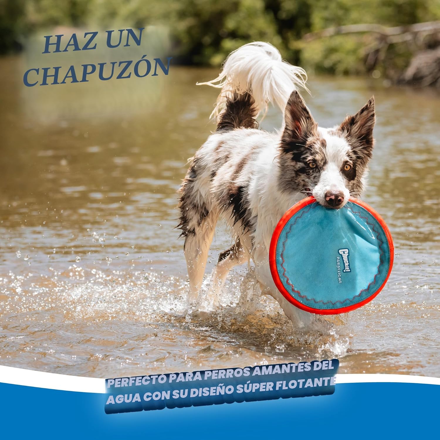 Chuckit! Max Glow Paraflight - Disco volador de juguete para perro,...
