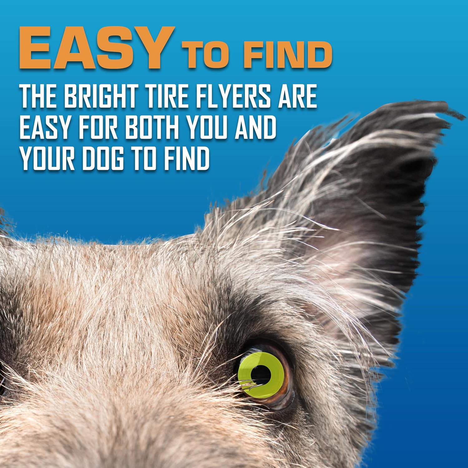 Nerf Dog Tire Flyer - Juego de regalo de juguetes para perros, disc...