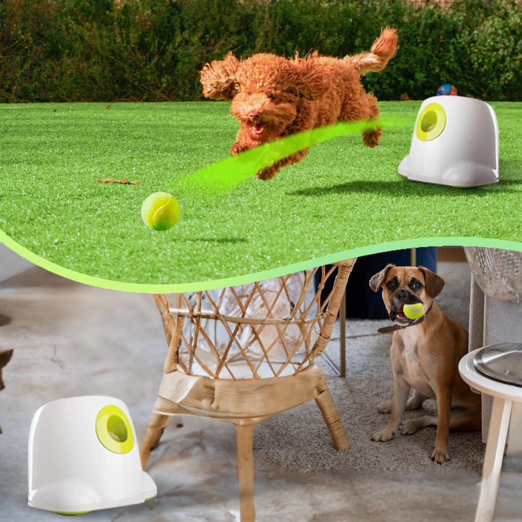 ALL FOR PAWS Lanzador automático de bolas para perros, máquina inte...