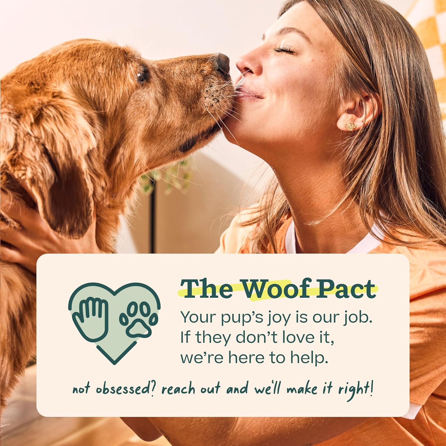 WOOF Pupsicle - Paletas de recambio de pollo, deliciosas golosinas...
