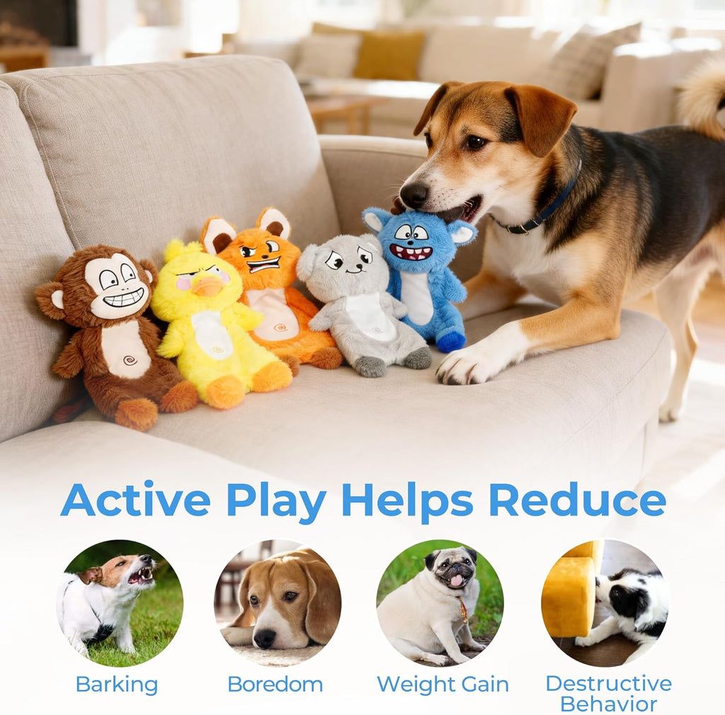Prime Pets Paquete de 5 juguetes chirriantes para perros, sin cuerp...