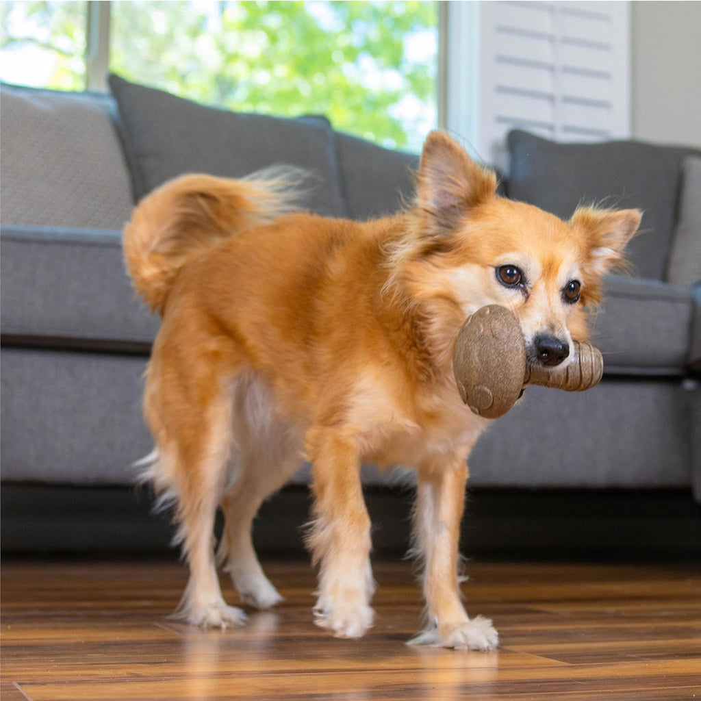 Outward Hound Dogwood Mushroom - Juguete masticable duradero para p...