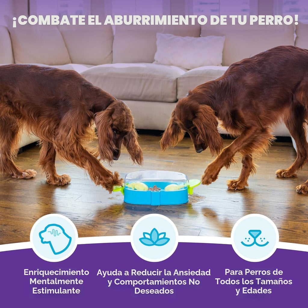 Outward Hound Nina Ottosson Paw N' Play Rompecabezas Interactiv...
