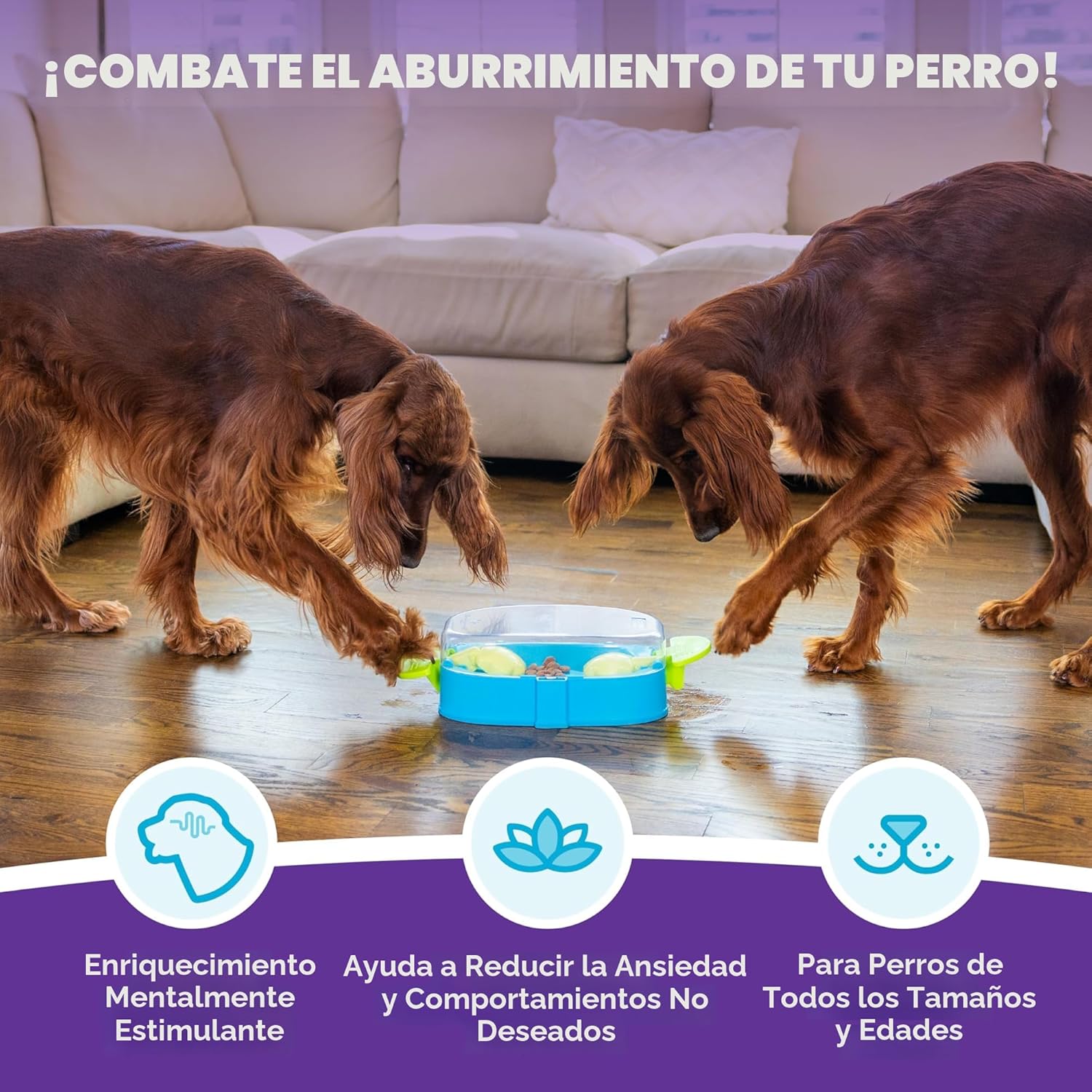 Outward Hound Nina Ottosson Paw N' Play Rompecabezas Interactiv...