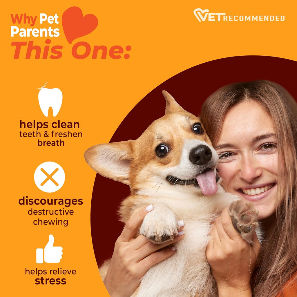 Nylabone Juguete masticable fuerte con anillo texturizado para perr...