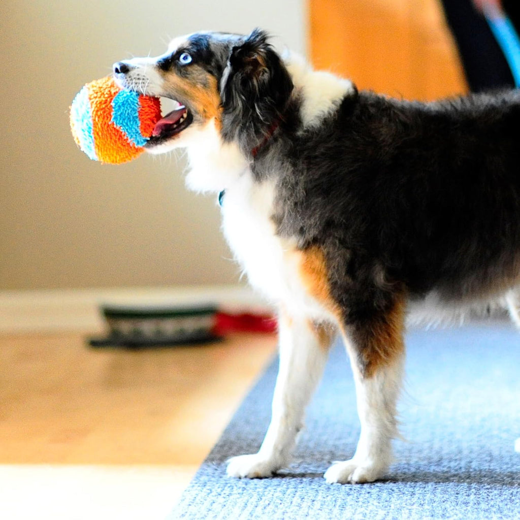 Pelota para interior, Variados