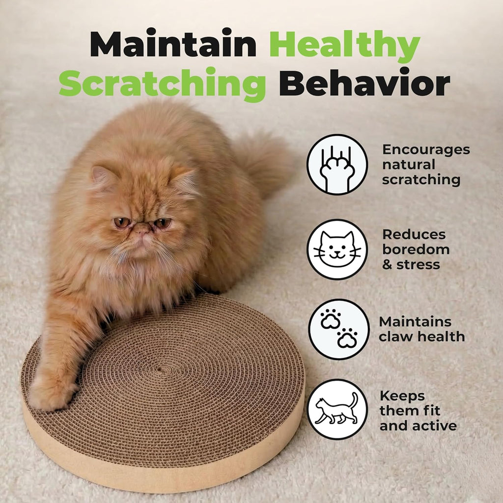 Best Pet Supplies Catify Rascador para Gatos, Rascadores Interactiv...