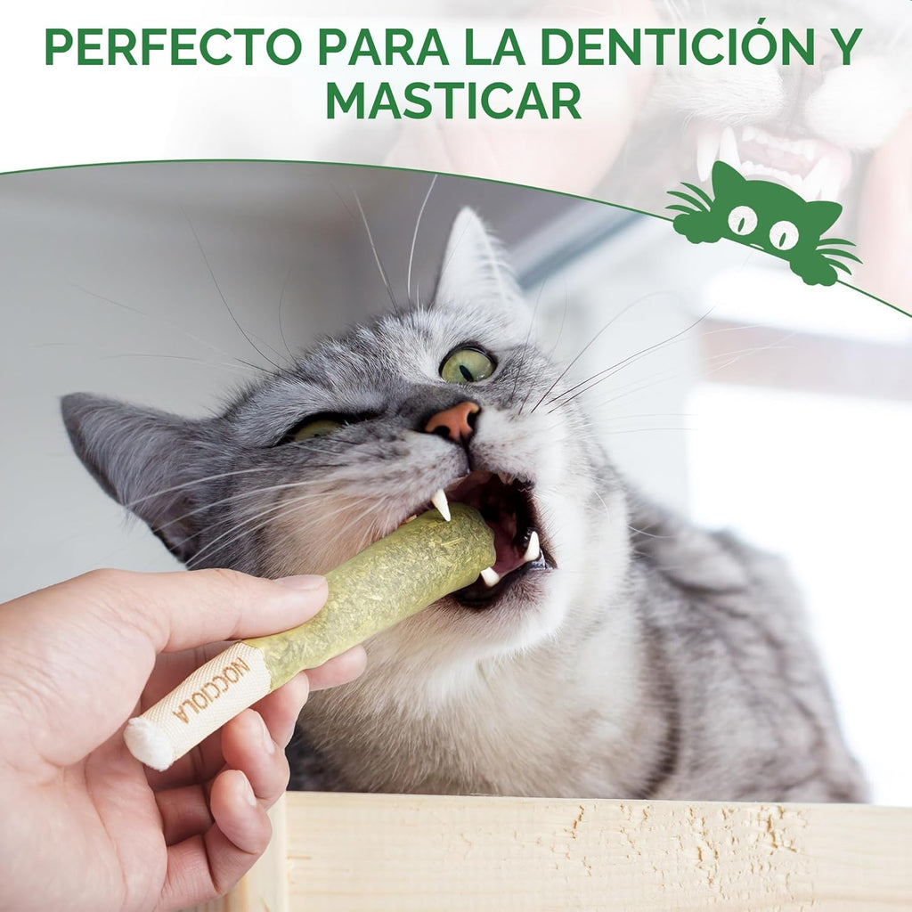 Nocciola Paquete de 3 Juguetes de Hierba Gatera para Gatos, Diverti...