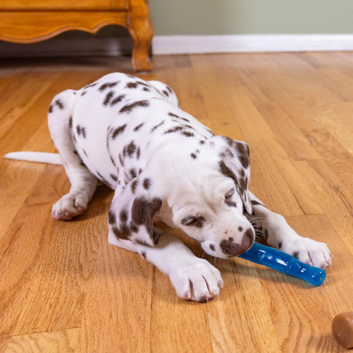Outward Hound Dogwood Puppy - Juguetes masticables duraderos para p...