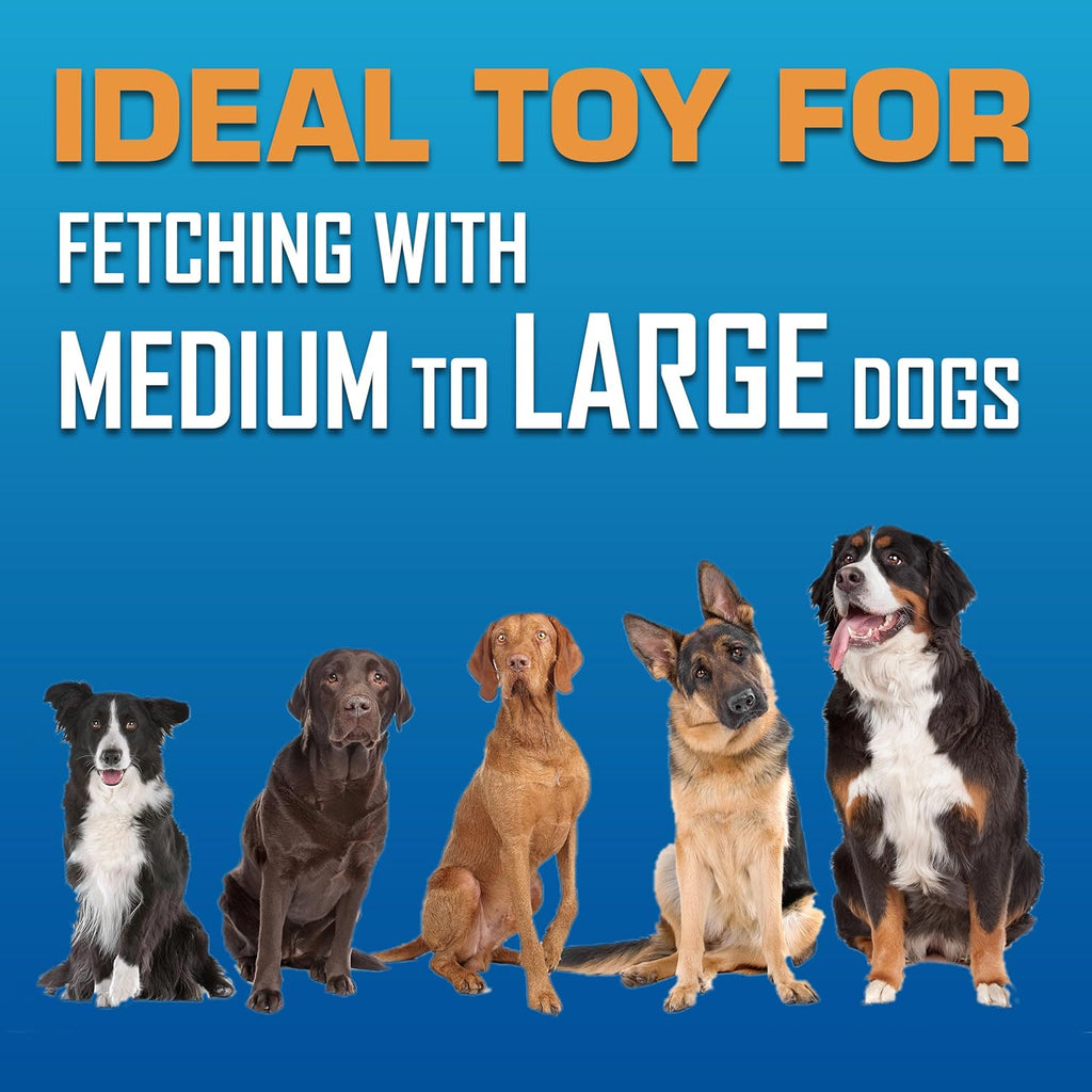 Nerf Dog Tire Flyer - Juego de regalo de juguetes para perros, disc...