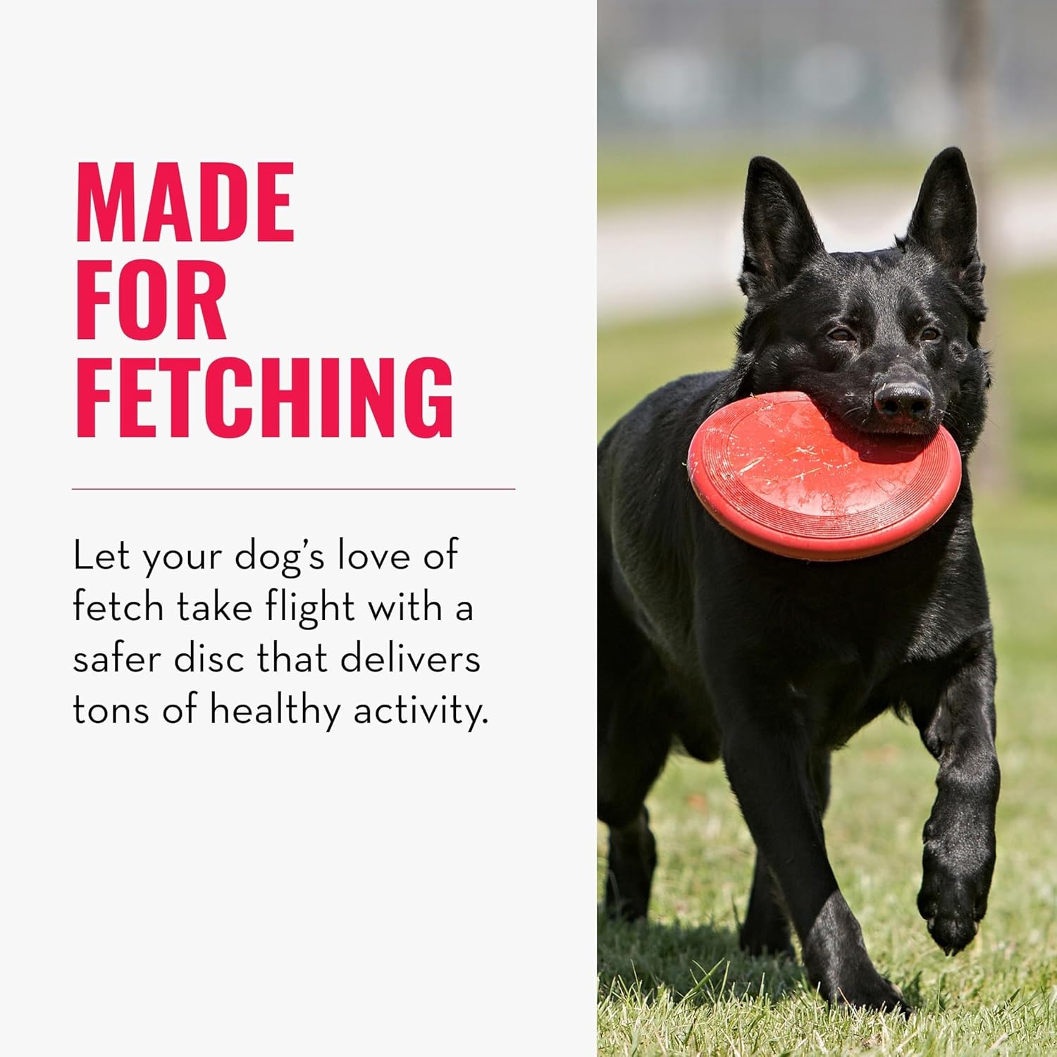 KONG Flyer - Juguete duradero para perros para jugar al aire libre,...