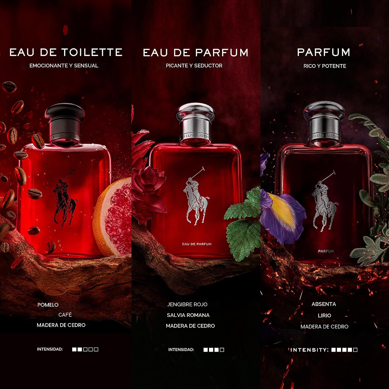 FRAGANCIAS RALPH LAUREN - Polo Red - Eau de Toilette - Colonia para...