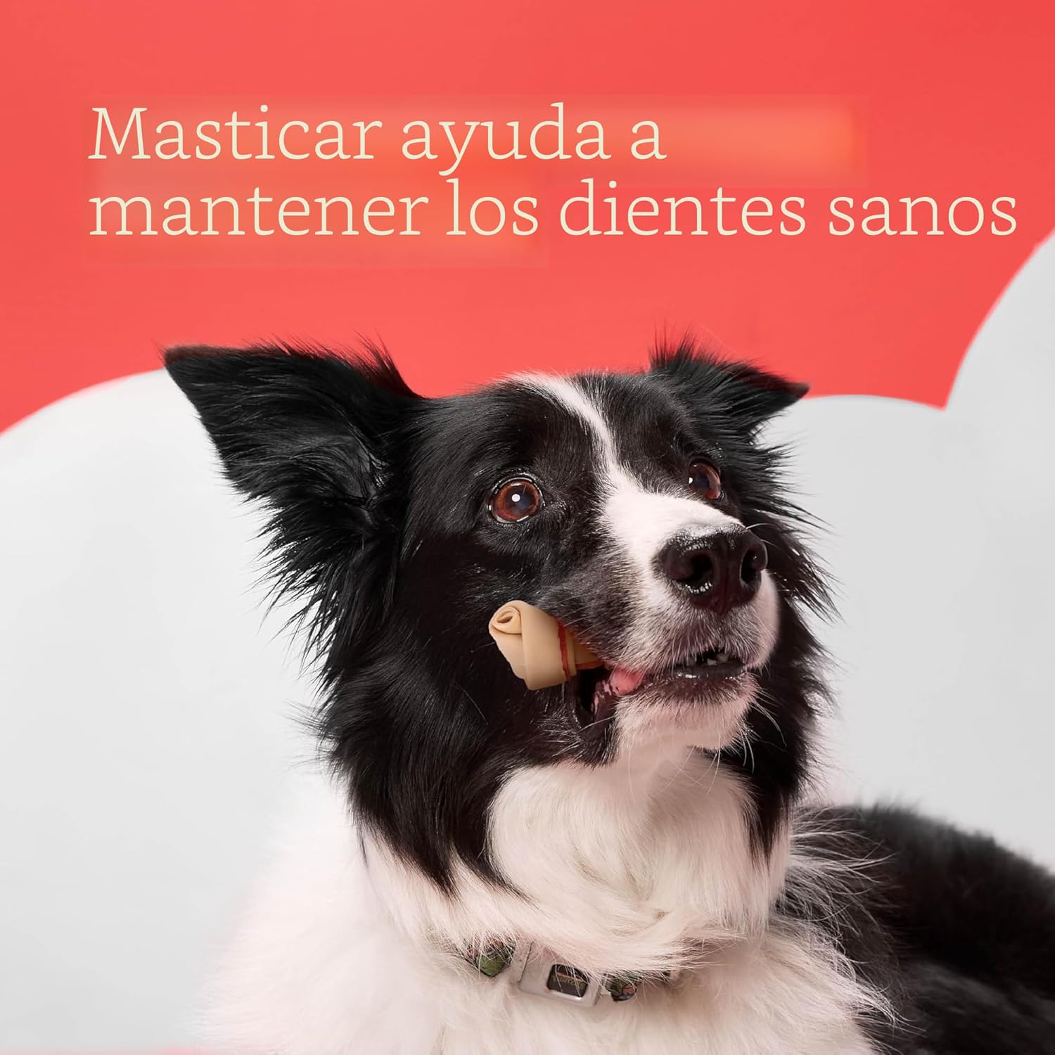DreamBone Mini golosinas de pollo para perros, masticables diarios...