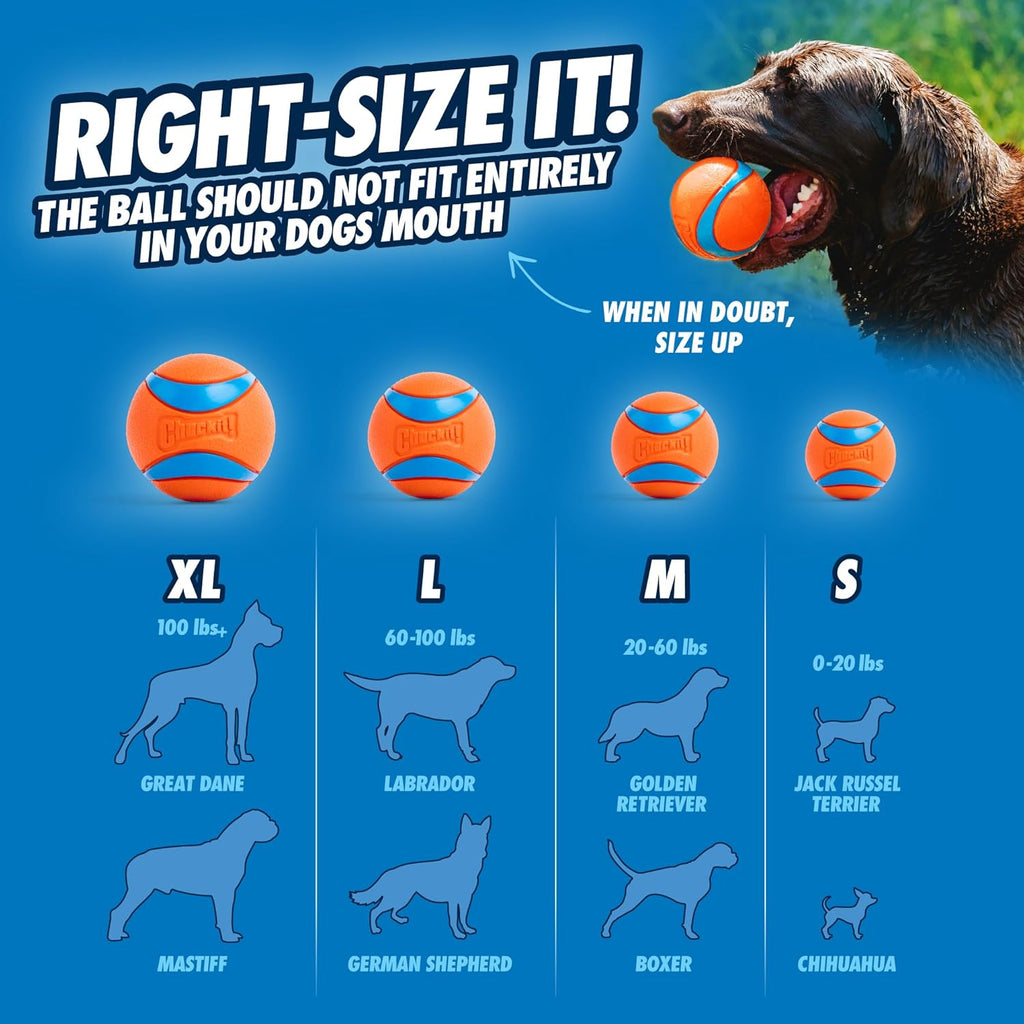 Chuckit! Pelotas para perros \u2013 Juguetes interactivos para perr...