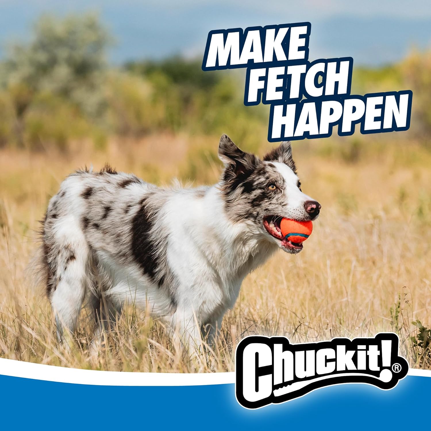 Chuckit! Paquete de pelota y lanzador Ultra para perros clásico 26M...