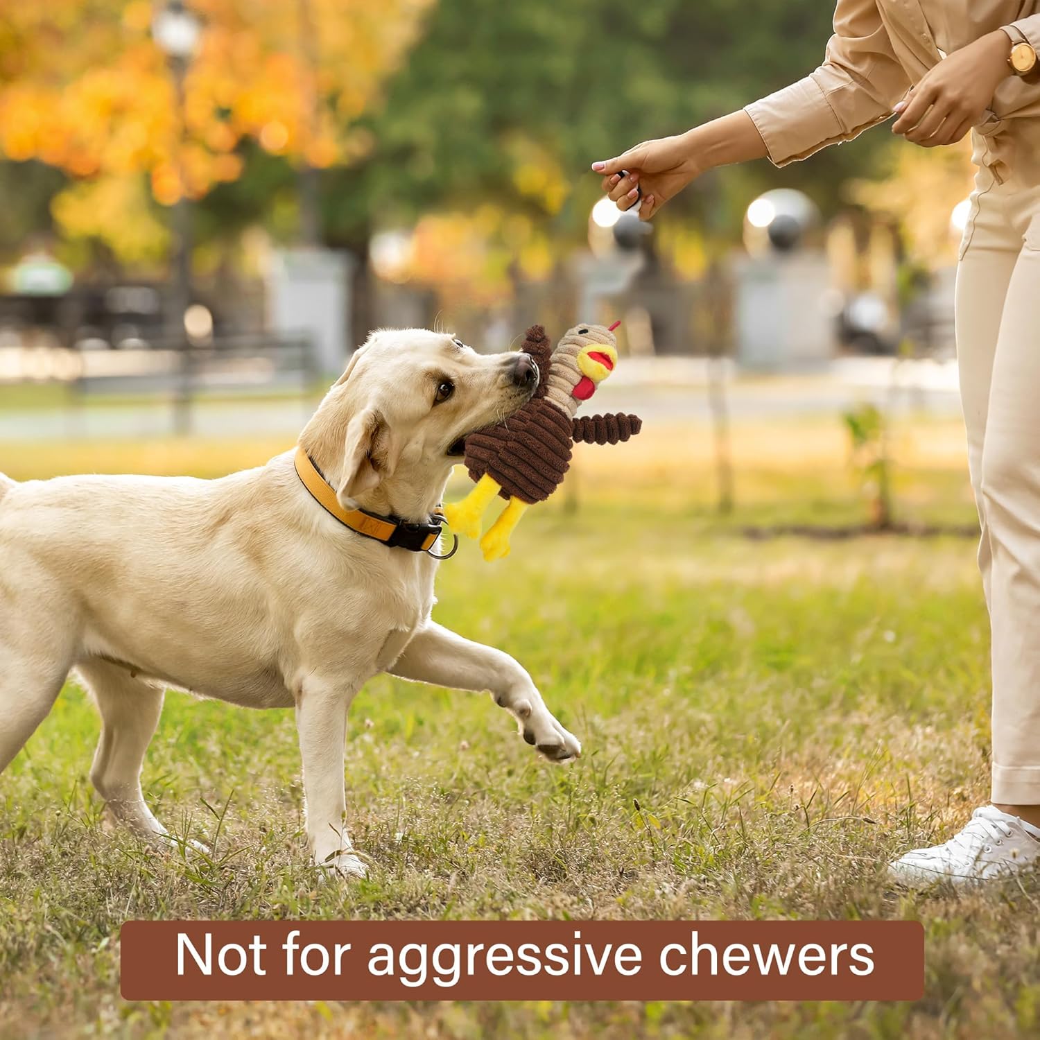 Prime Pets Juguetes para perros, paquete de 5, juguetes chirriantes...