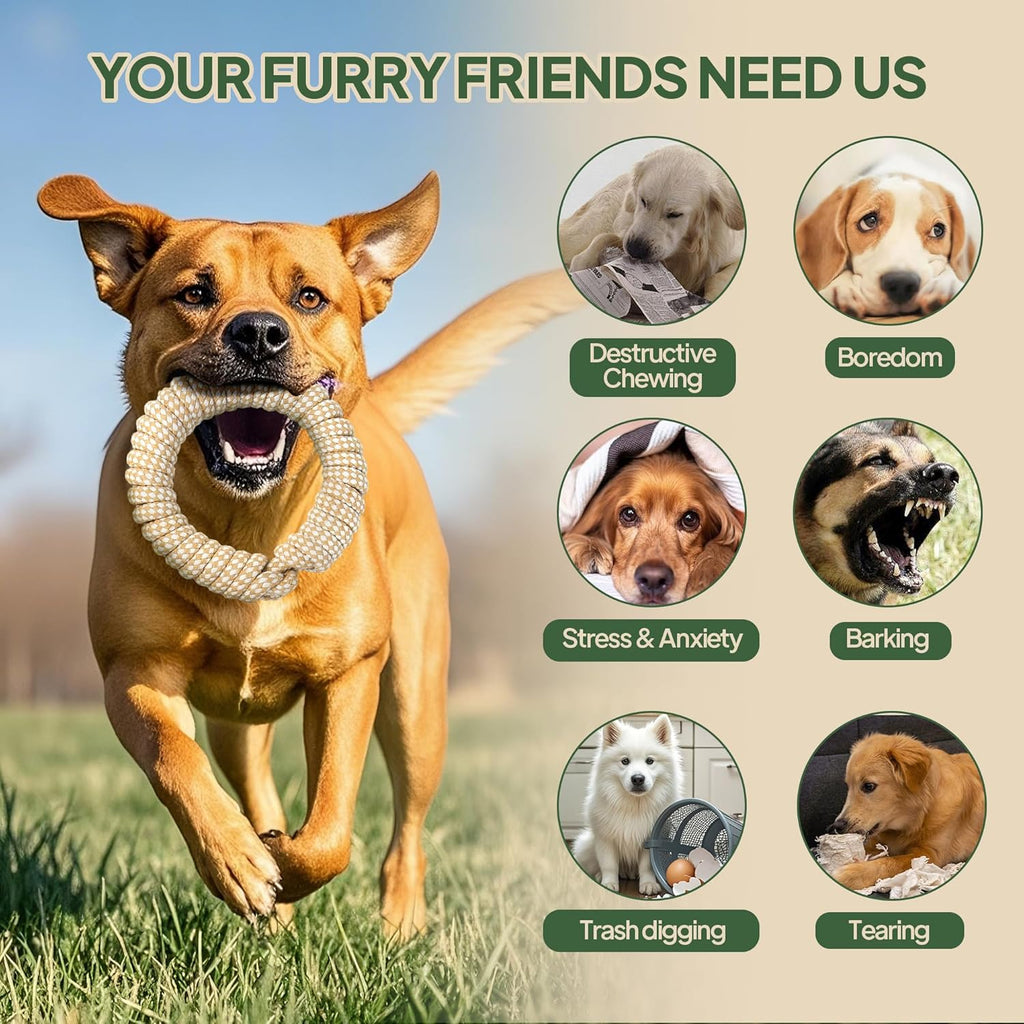 Juguete de cuerda para perros, paquete de 4 juguetes de cuerda para...